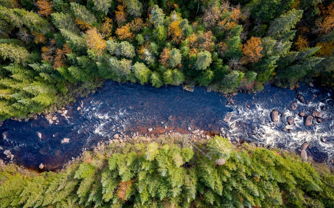 Webinaire Hebdomadaire: Optimisez la gestion de vos infrastructures d’eau potable grâce aux nouvelles technologies
